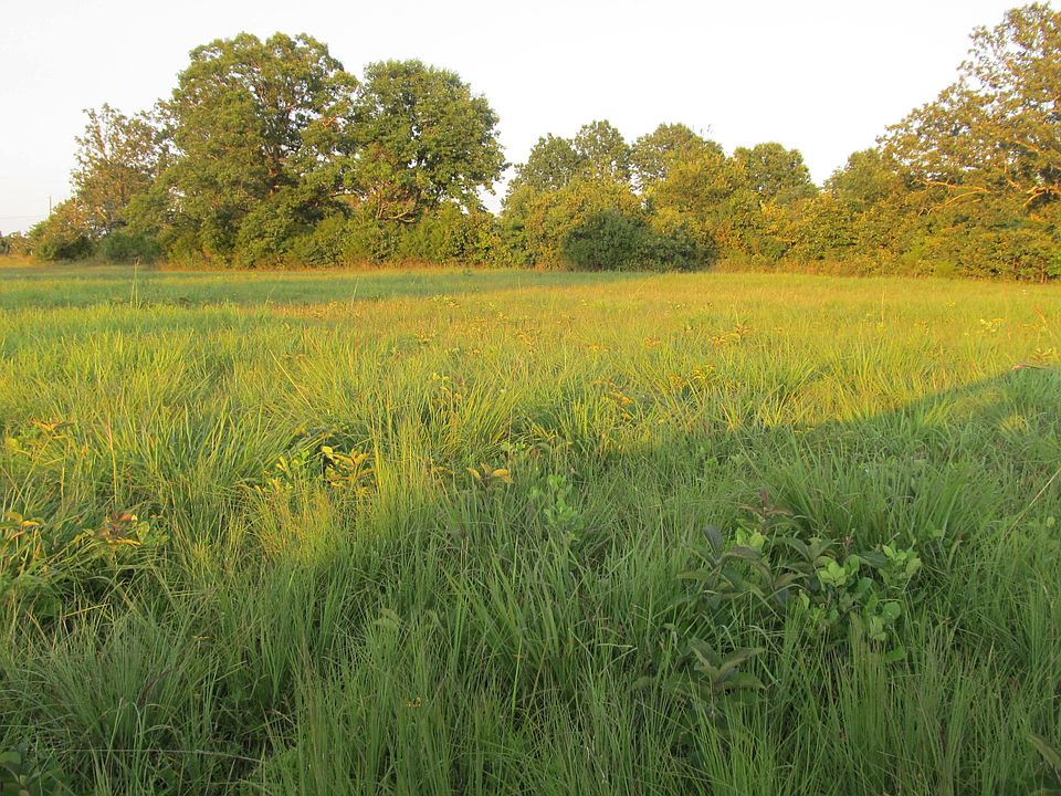 19030 County Road U Mansfield MO Zillow