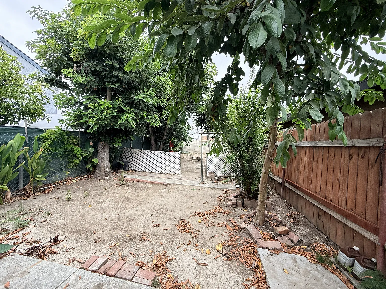 3 bed, 1036 sqft, $3,350 — Photo 2