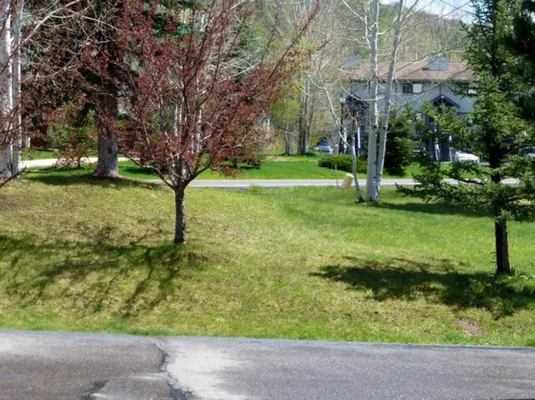 8 Sequoia Ct, Steamboat Springs, CO 80487