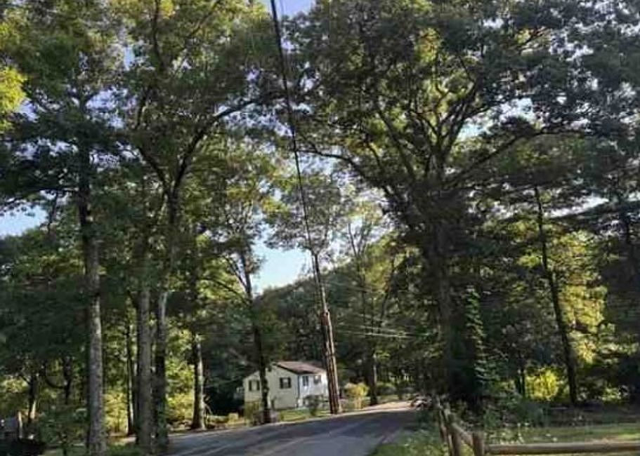 Exterior Neighborhood (street photo)