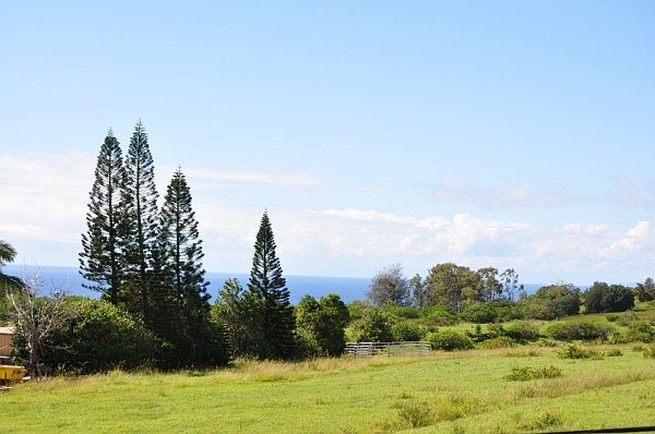 1st image of 1261 Pua Melia St Lot 43
