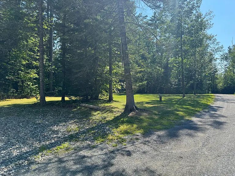 Large Open Yard