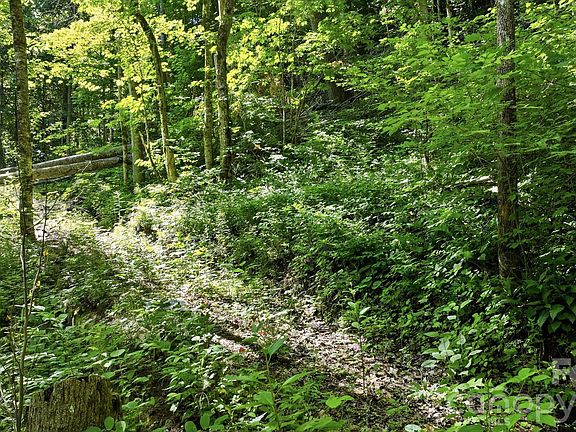 5th image of 618 Dark Ridge Rd