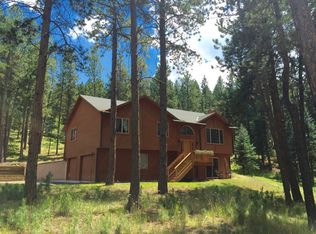 473 Ridge Dr, Woodland Park, CO 80863