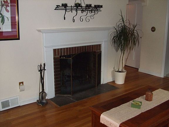 wood burning fireplace
