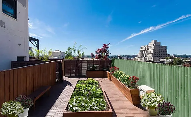 Rented by City Skyline Rentals LLC | media 9