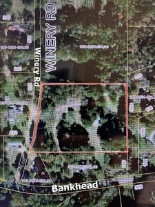 170 Winery Rd, Fulton, MS, 38843