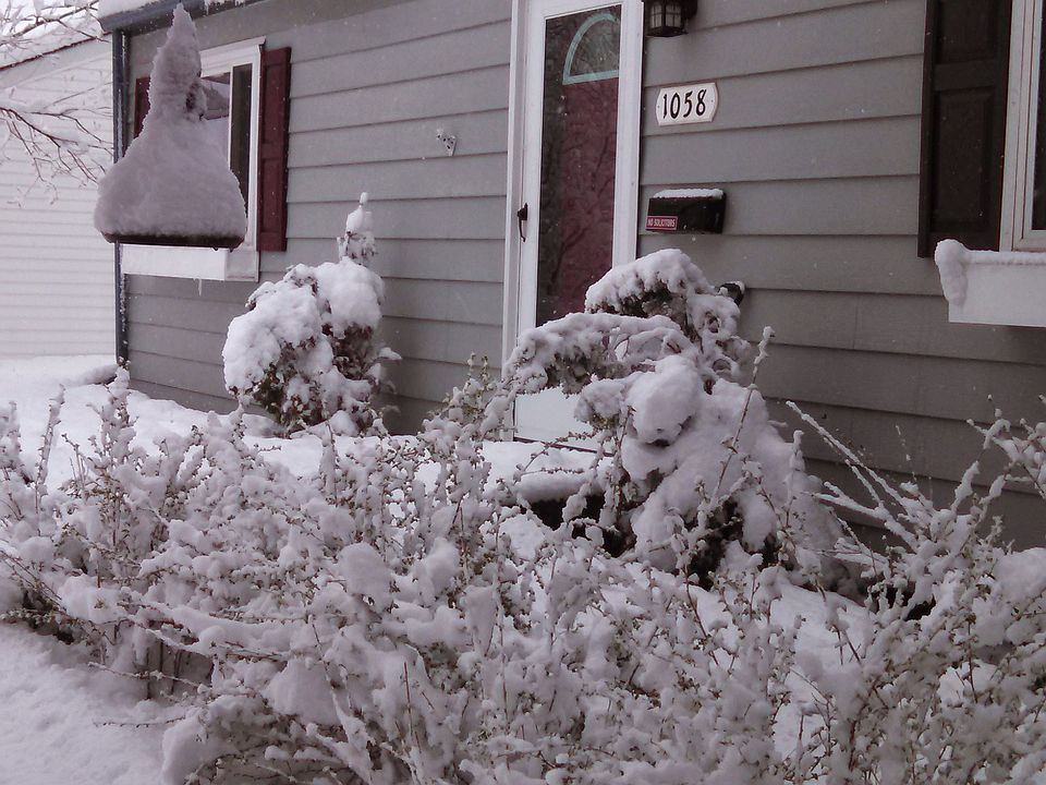 1st image of 1058 N 10th St