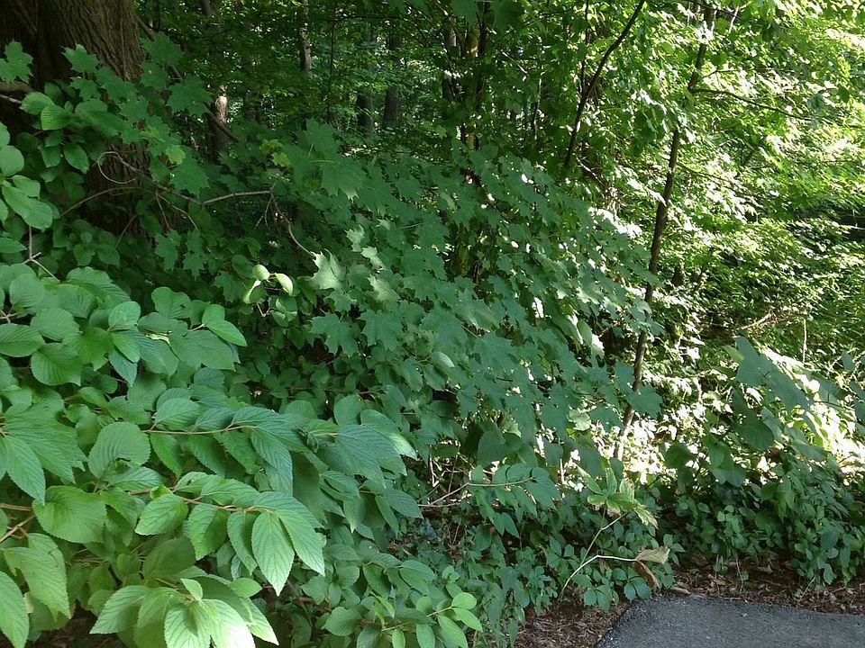 2nd image of 17550 Mary Ln