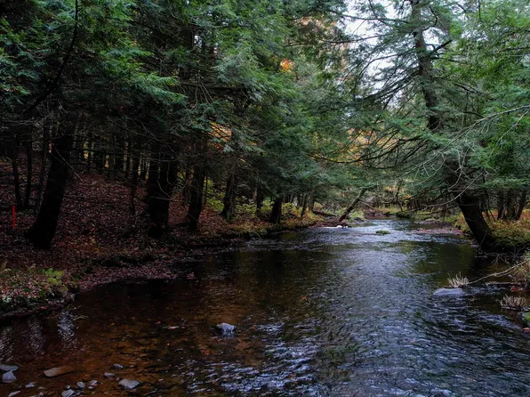 Svecz Rd, Union Dale, PA 18470