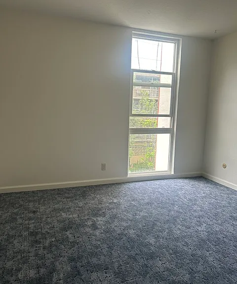 250 Whitmore St #301 — Photo 13