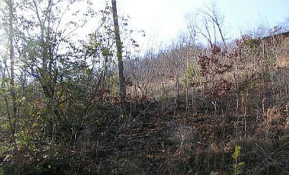 2nd image of Fox Springs Dr