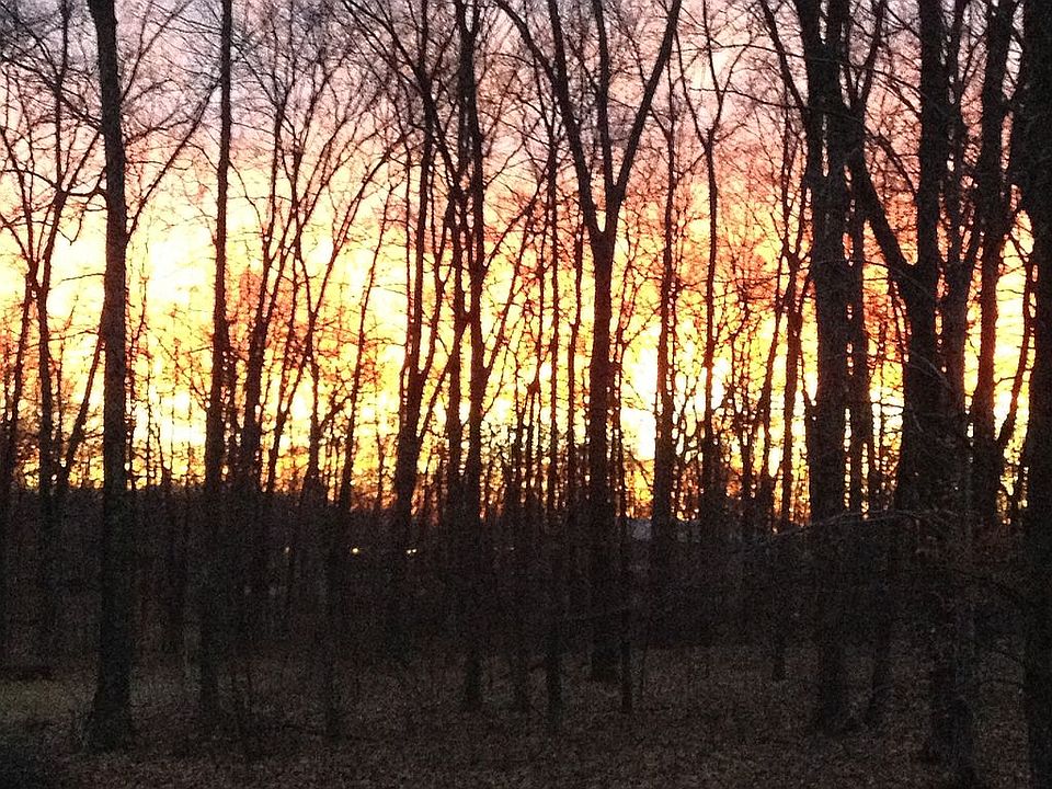 View from front porch