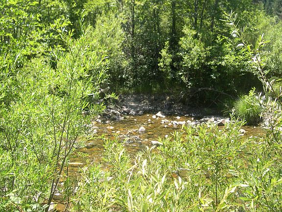 River