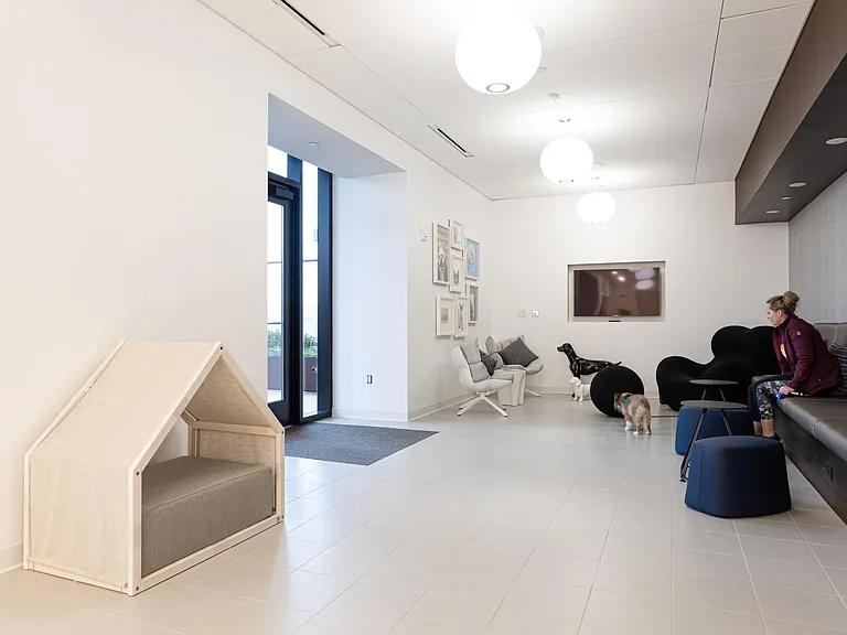 Pet's amenity floor