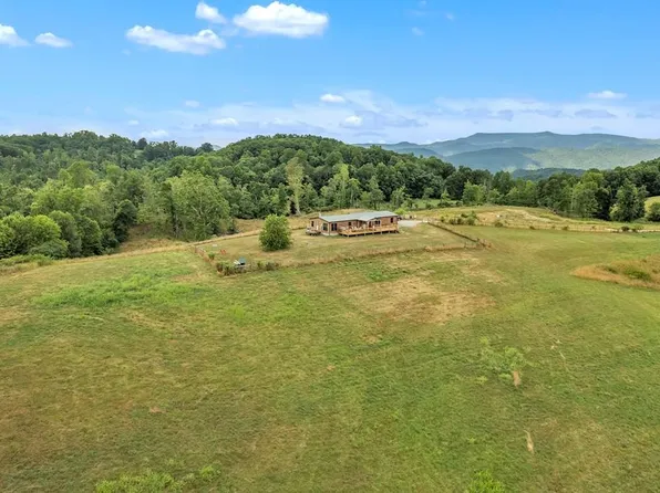 29165 Old Saltworks Rd, Meadowview, VA 24361