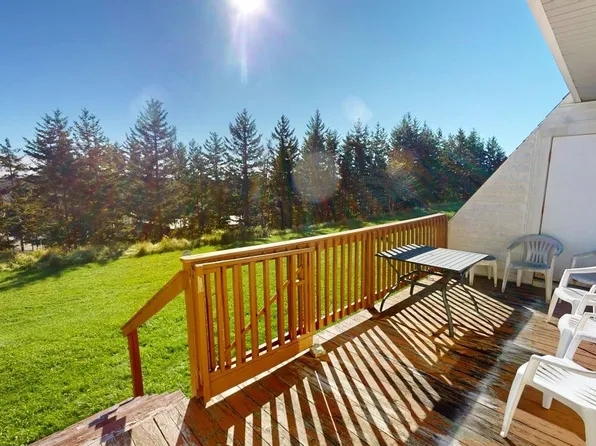 101 Leatherbark #B, Snowshoe, WV 26209