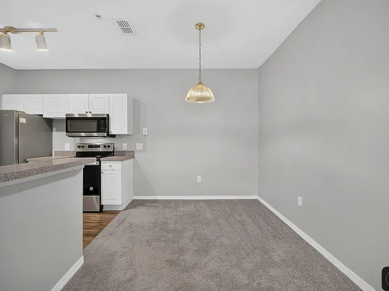 821 Grand Regency Point #201 — Photo 9