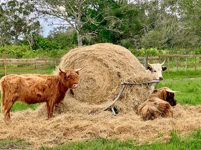 Tbd W Midway W Road, Fort Pierce, FL, 34981