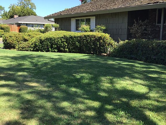 3rd image of 2210 Rockwood Dr