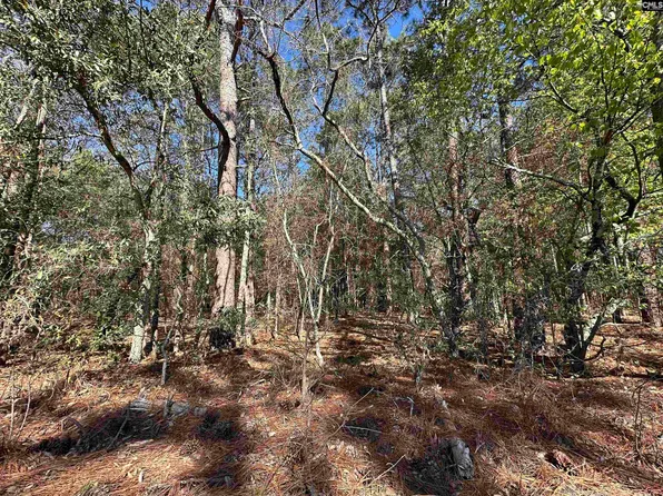 2 Mimosa Dr, Gaston, SC 29053