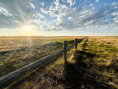 Nhn Turkey Track Rd, Saco, MT, 59261