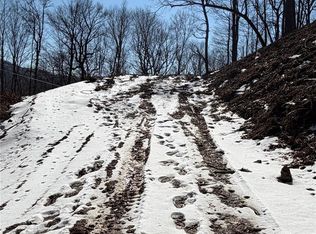 0 Fox Den Rd #109, Mars Hill, NC 28754