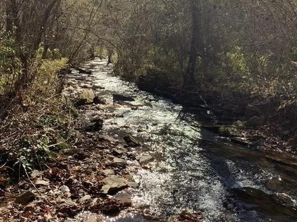 95 Cedar St, Ellijay, GA 30540