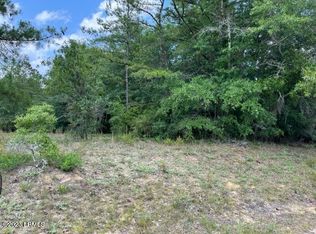 Stokes Bluff Rd, Pineland, SC 29934