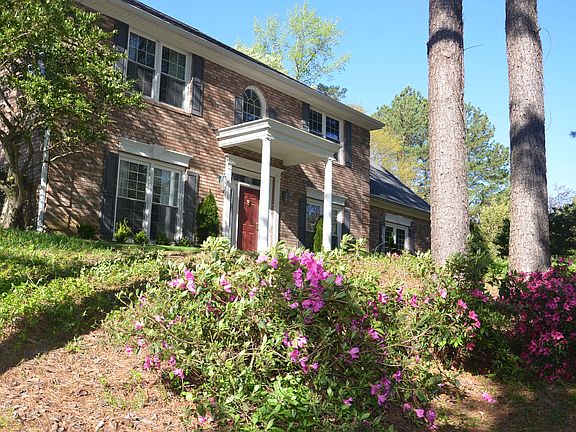Azaleas in bloom