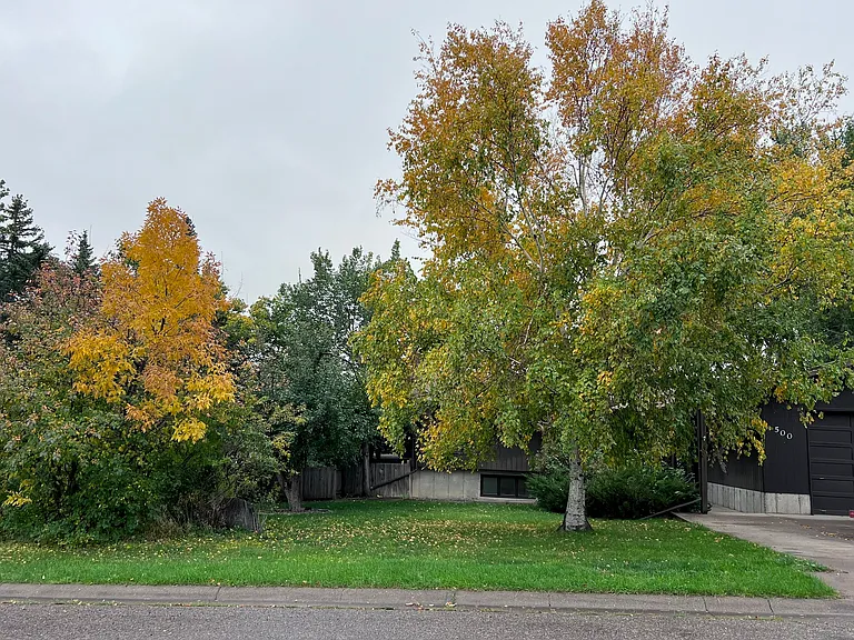 Front autumn landscape