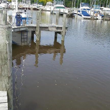 2nd image of 40 N Bailey Ave