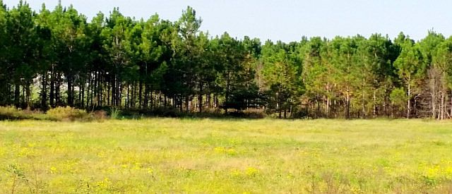 1st image of 165 Station Dr
