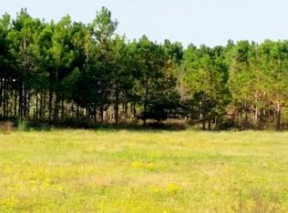 165 Station Dr, Leesburg, GA 31763