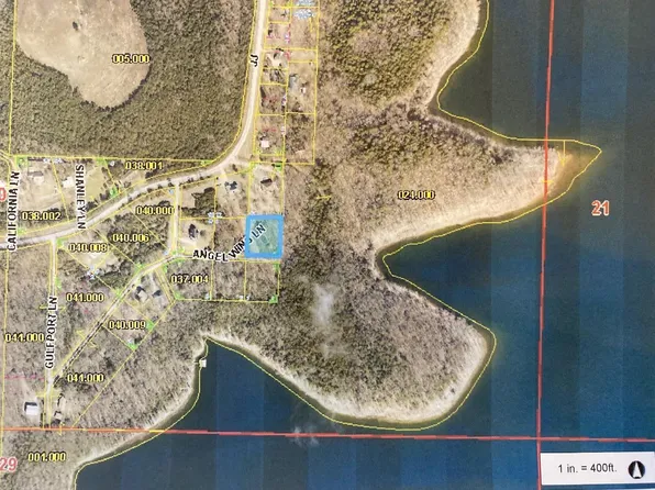 10 Angelwing - Lot 10, Blue Eye, MO 65611