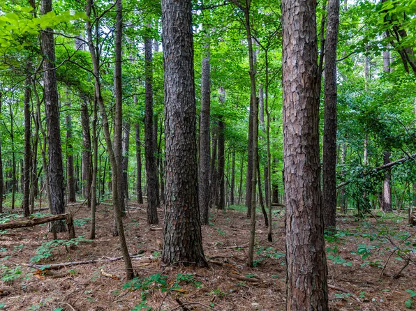 000 County Road 1990, Willow Springs, MO 65793