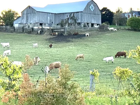 807 County Road 41 Rd, Kawartha Lakes, ON K0M 2B0