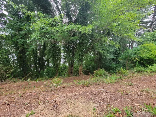 740 Columbia Street, Cathlamet, WA 98612