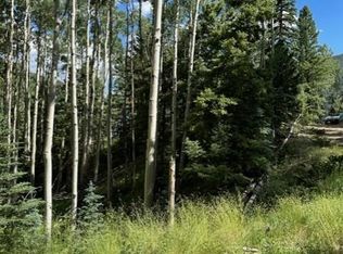 Jasper, Del Norte, CO 81132