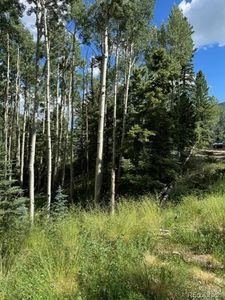 TBD, Del Norte, CO, 81132