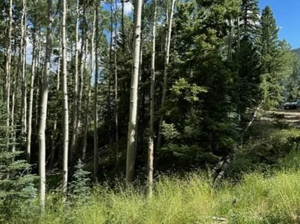 TBD, Jasper, CO 81132