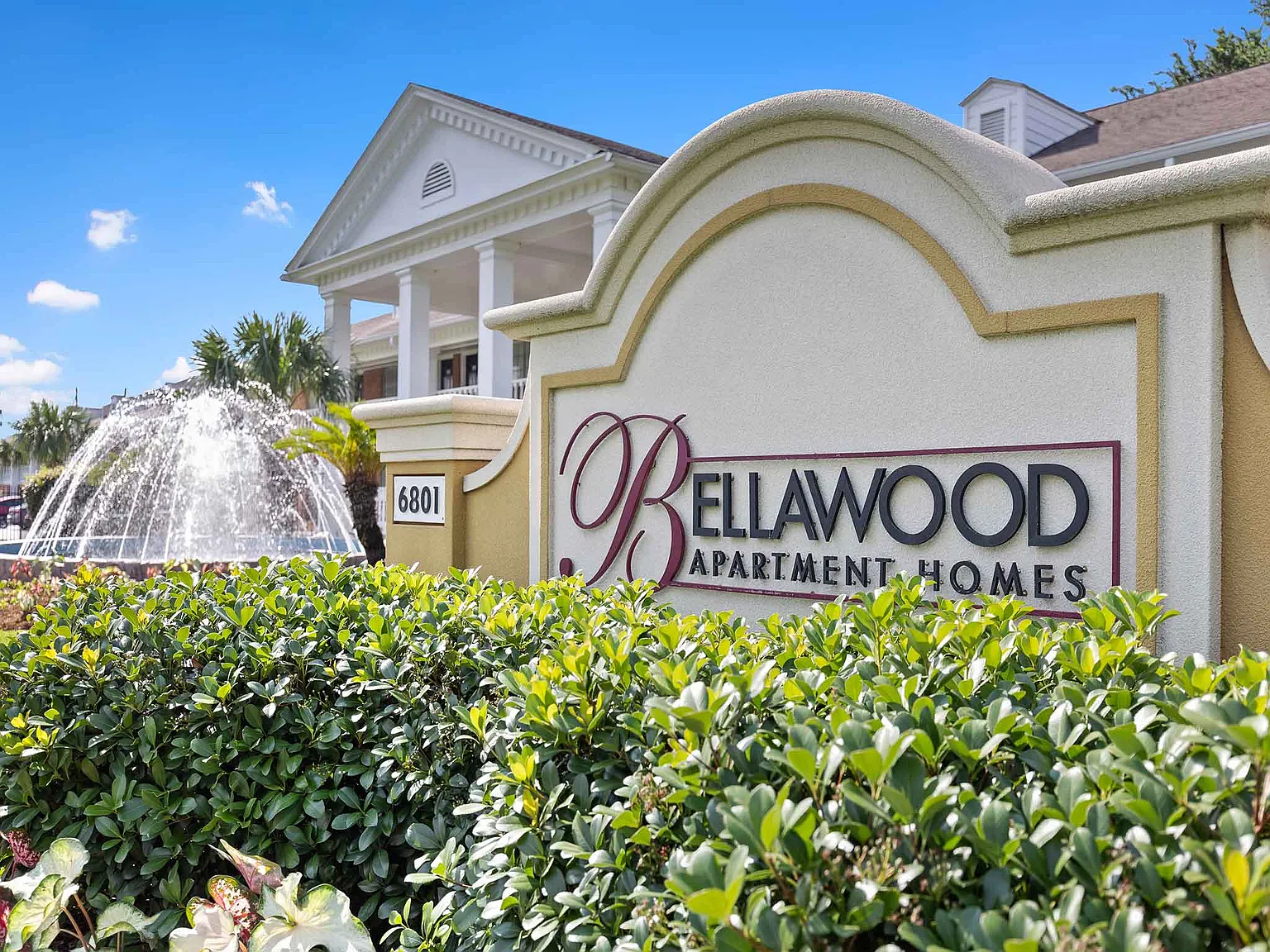 Bellawood — Photo 4