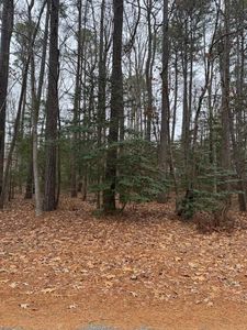 LOT 74 Pieces Of Eight Ct, Greenbackville, VA, 23356