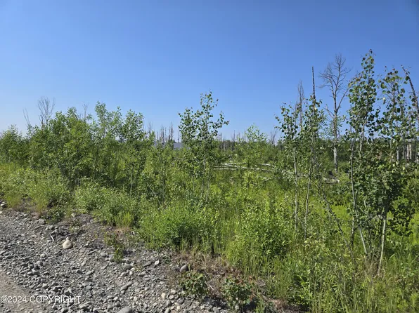 47774 S Yancey Dr, Talkeetna, AK 99676