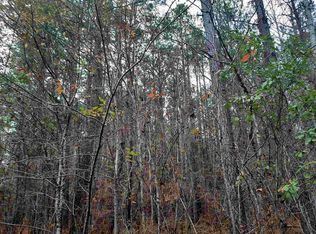 0 Pine Valley Rd LOT 12, Meansville, GA 30256