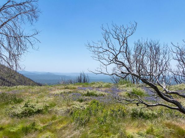 39 Buckingham Mountain Rd, Mariposa, CA 95338