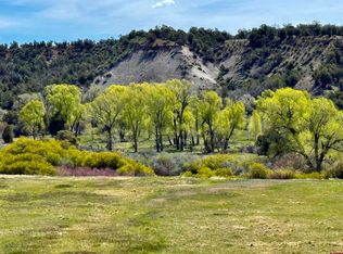 769 & 784 Bareback Lane, Durango, CO 81303