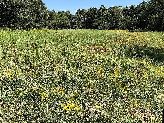 2nd image of 0000 Ns 395 Road