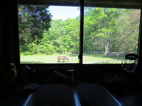 View from the kitchen sink