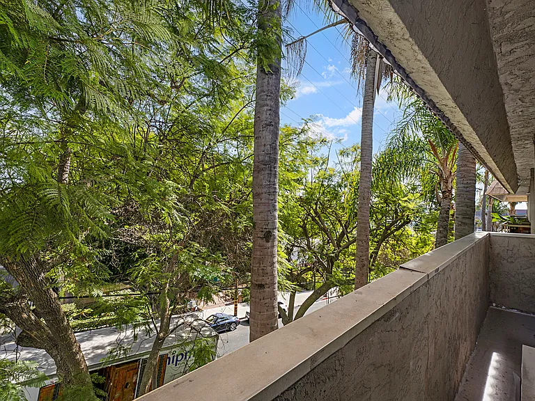 Ten Eleven Palm Avenue — Photo 26